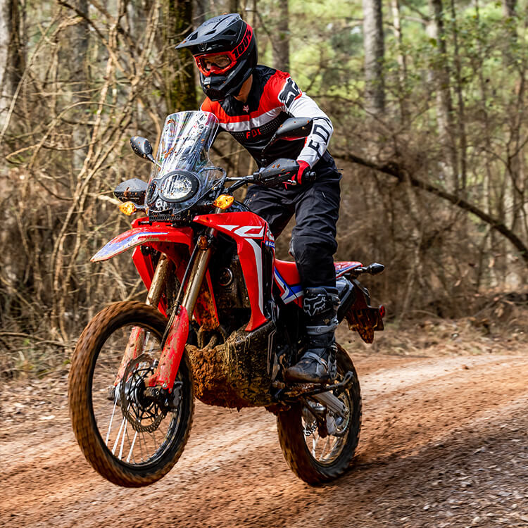 Gallery - CRF300L Rally 0