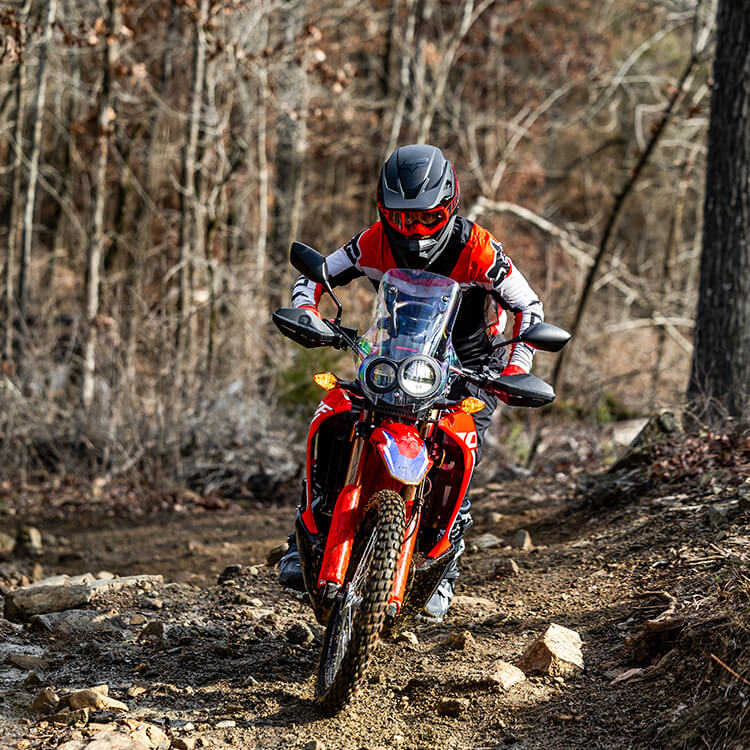 Gallery - CRF300L Rally 1