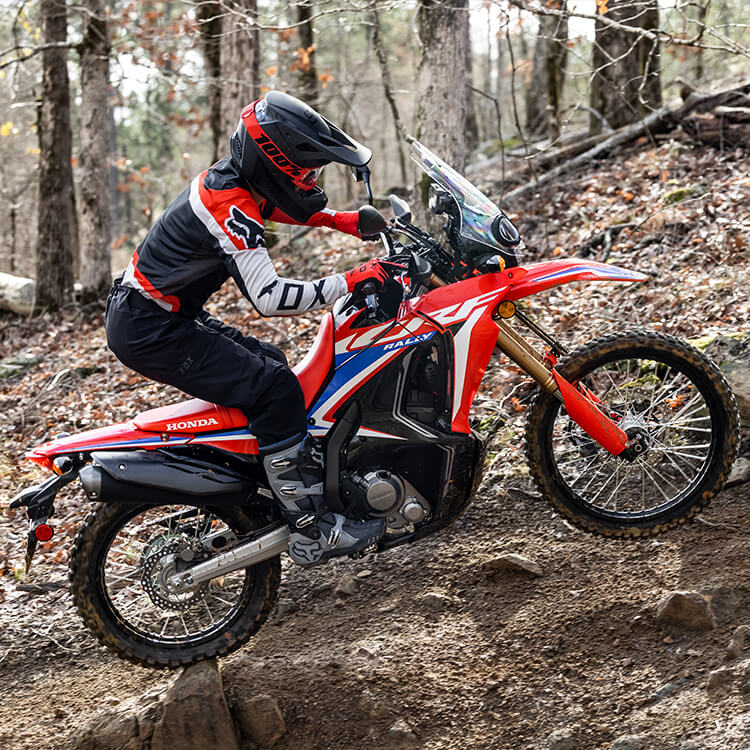 Gallery - CRF300L Rally 2