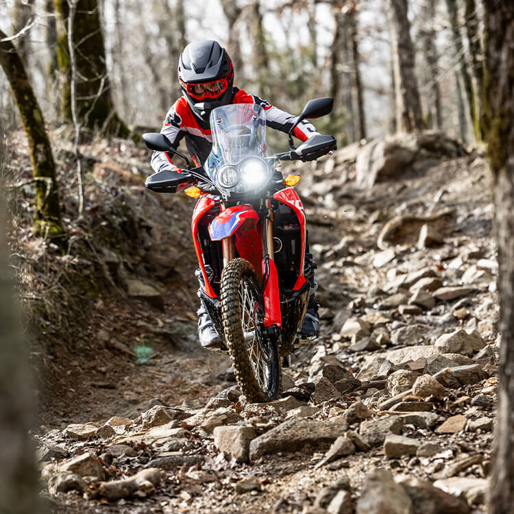 Gallery - CRF300L Rally 3